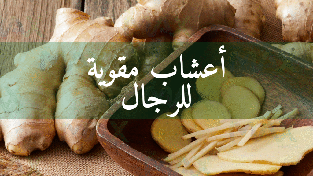 أكلات تقوي الانتصاب عند الرجل