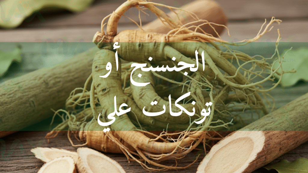 الجنسنج أو تونكات علي