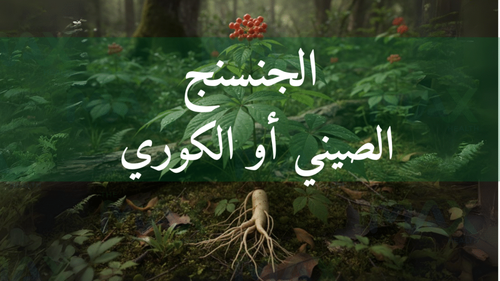 الجنسنج الصيني أو الكوري