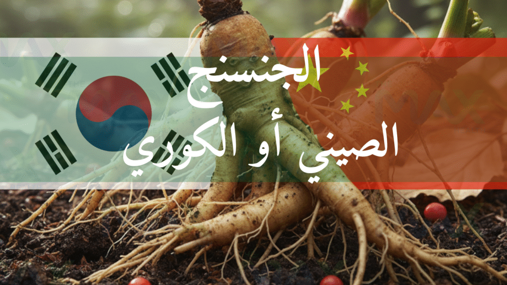 الجنسنج الكوري أو الصيني: مقارنة عملية شاملة لاختيار الأنسب لك