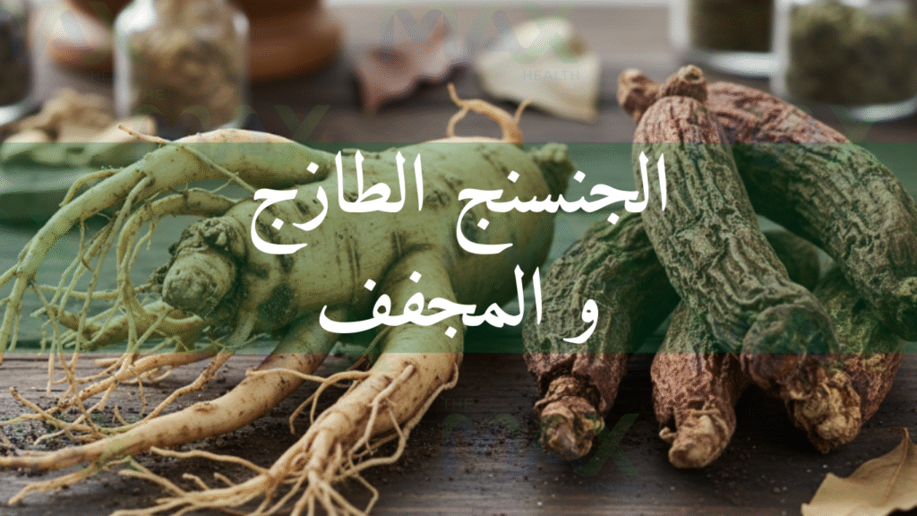 الجنسنج الطازج أو المجفف