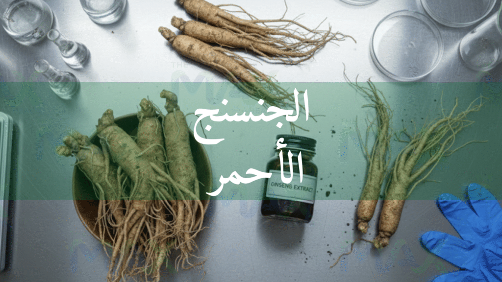 الجنسنج الأحمر الأصلي