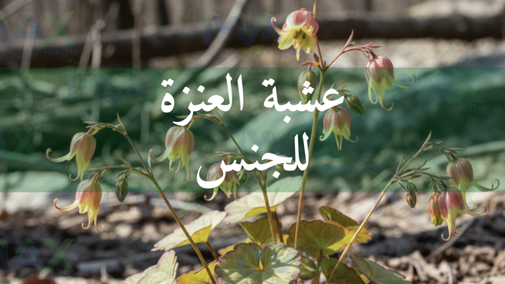 عشبة العنزة للجنس