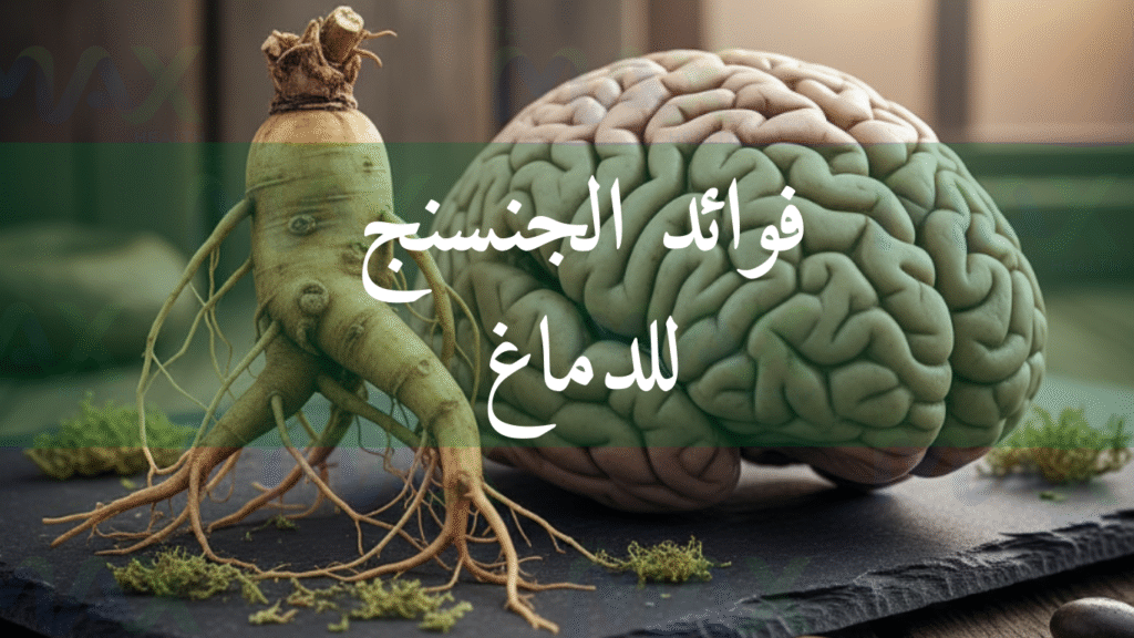 فوائد الجنسنج للذاكرة