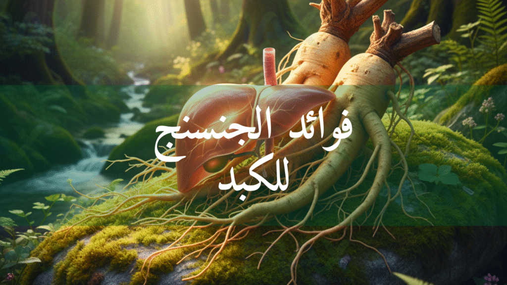فوائد الجنسنج للكبد