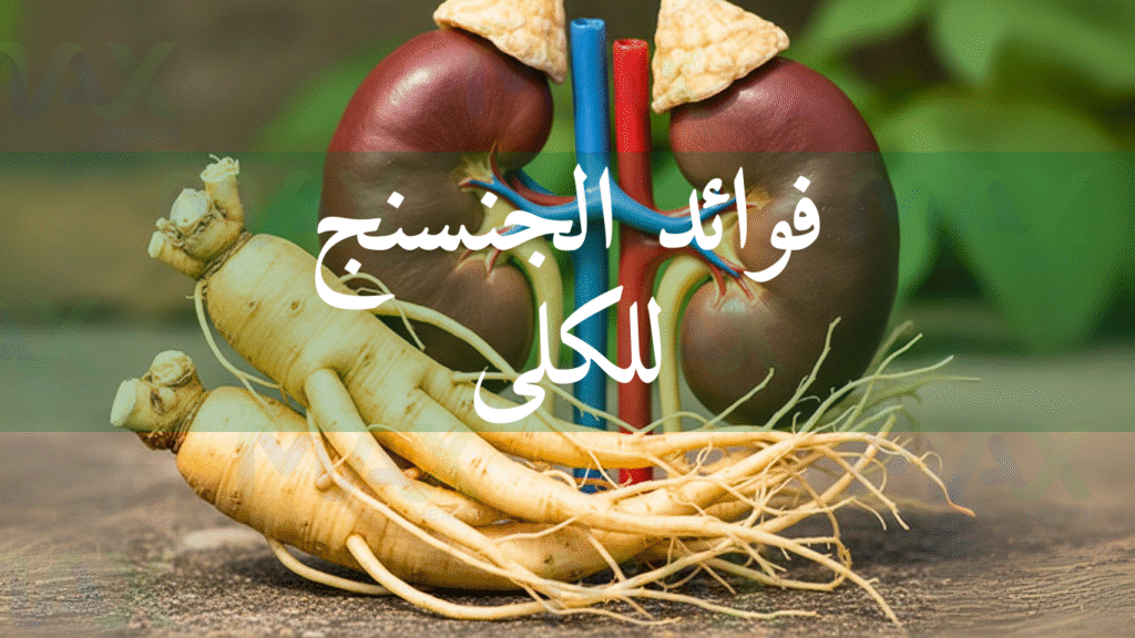 فوائد الجنسنج للكلى