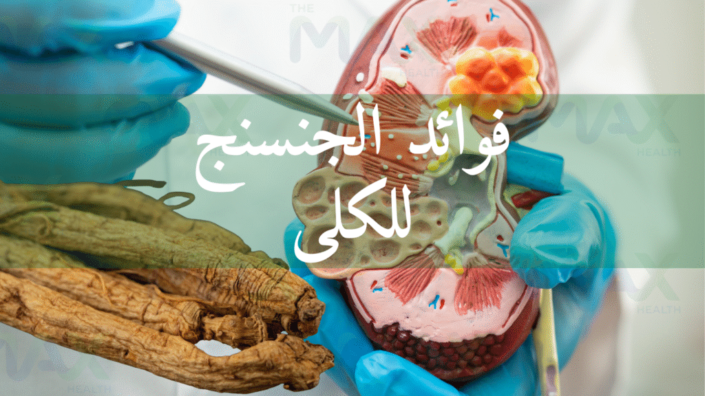 فوائد الجنسنج للكلى