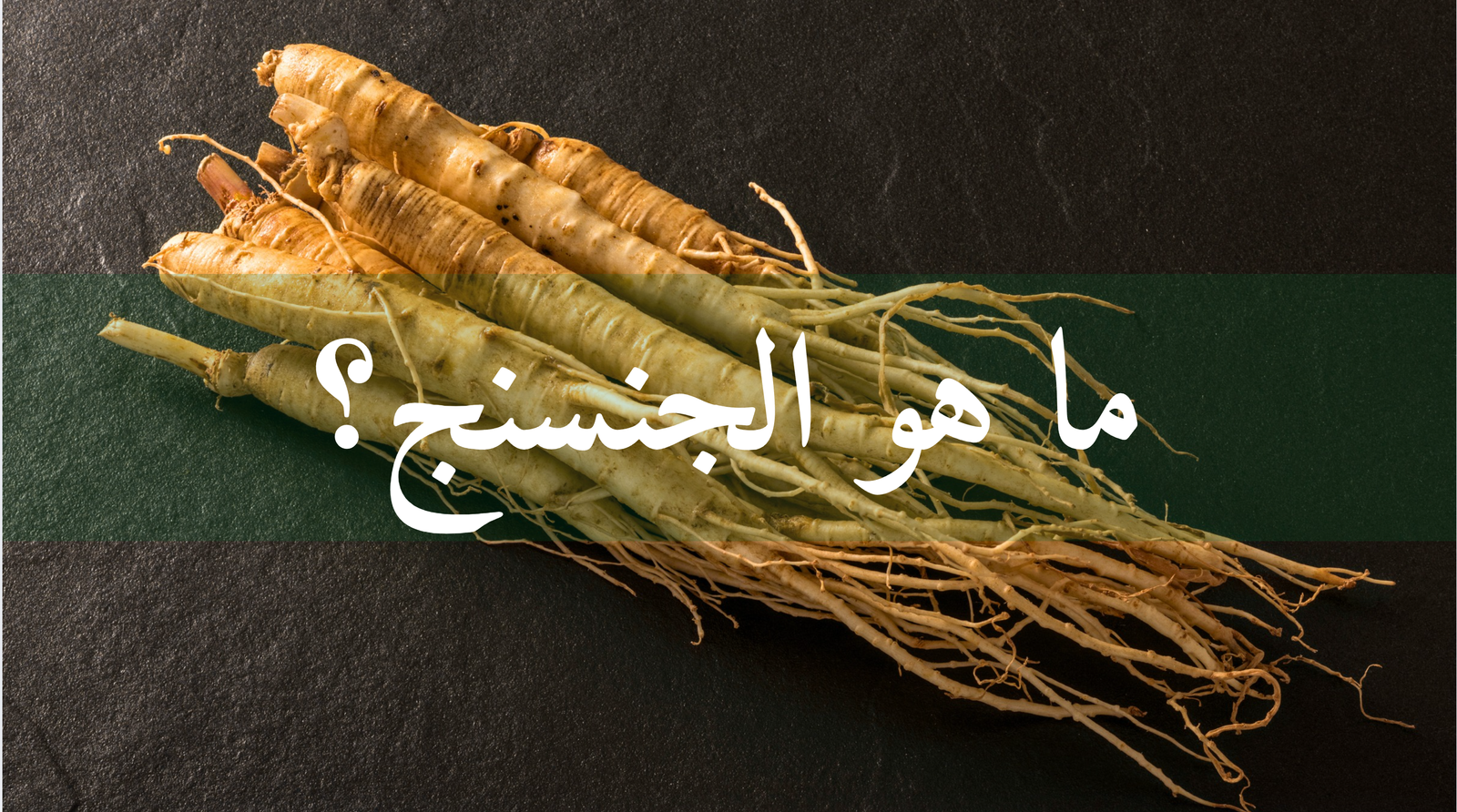 ما هو الجنسنج