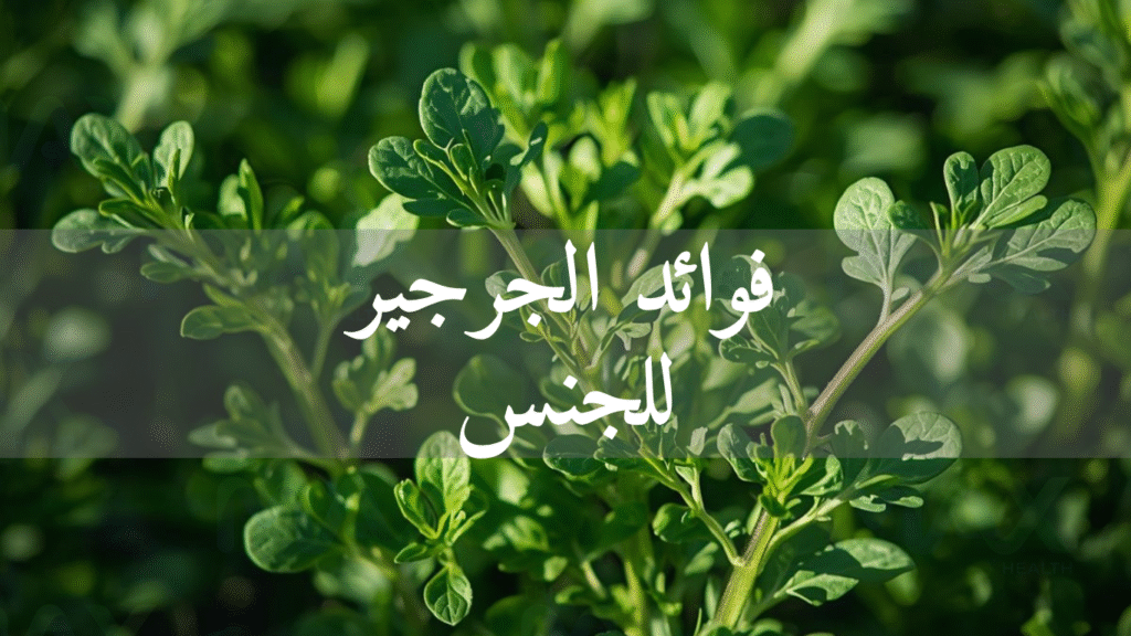 فوائد الجرجير للجنس