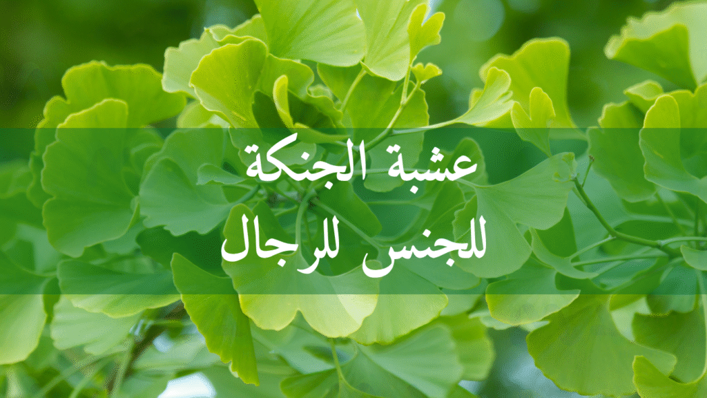 عشبة الجنكة للجنس للرجال