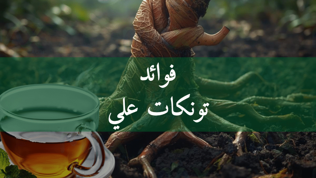 فوائد تونكات علي