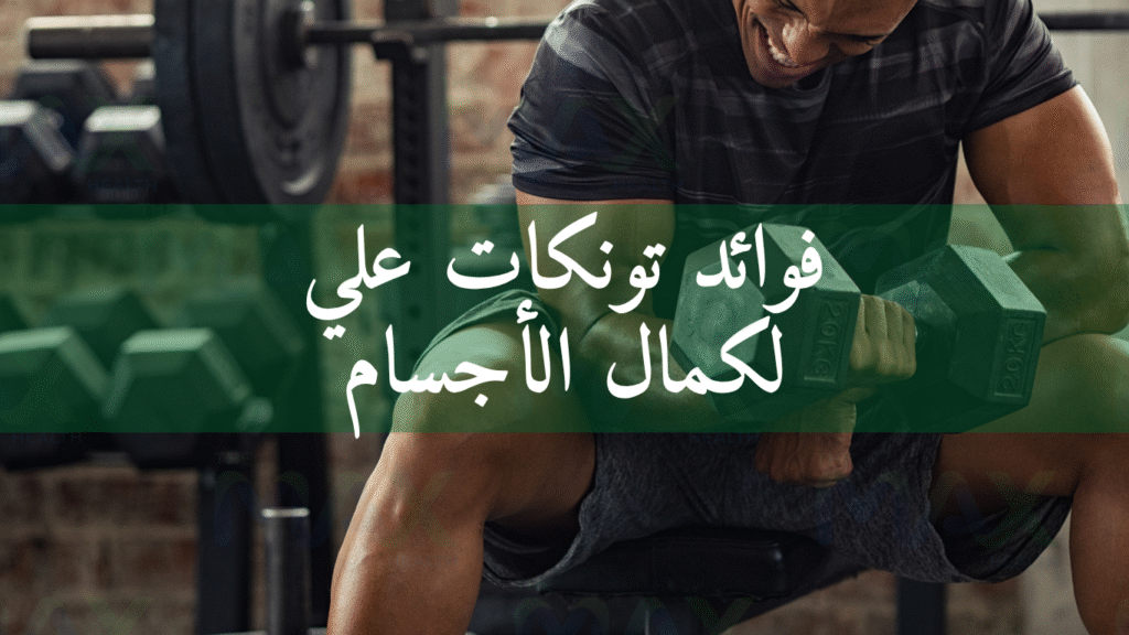 فوائد تونكات علي لكمال الأجسام: دليل عملي لبناء العضلات وزيادة القوة بطريقة ذكية