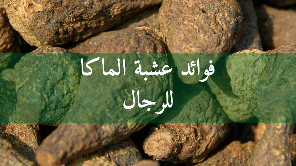 فوائد عشبة الماكا للرجال