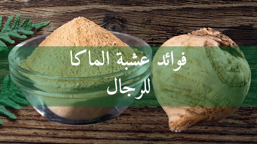 فوائد عشبة الماكا للرجال