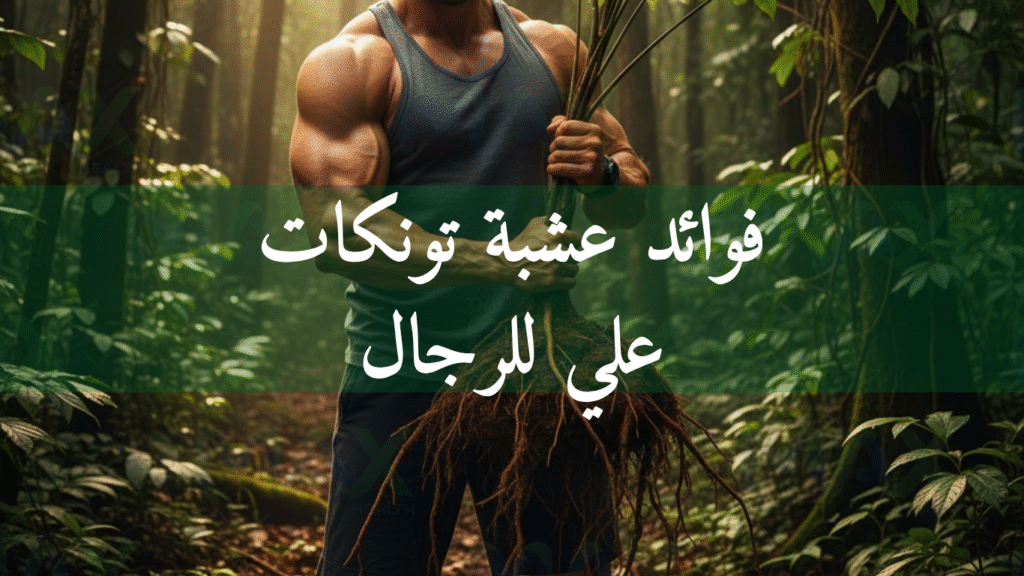 فوائد عشبة تونكات علي للرجال