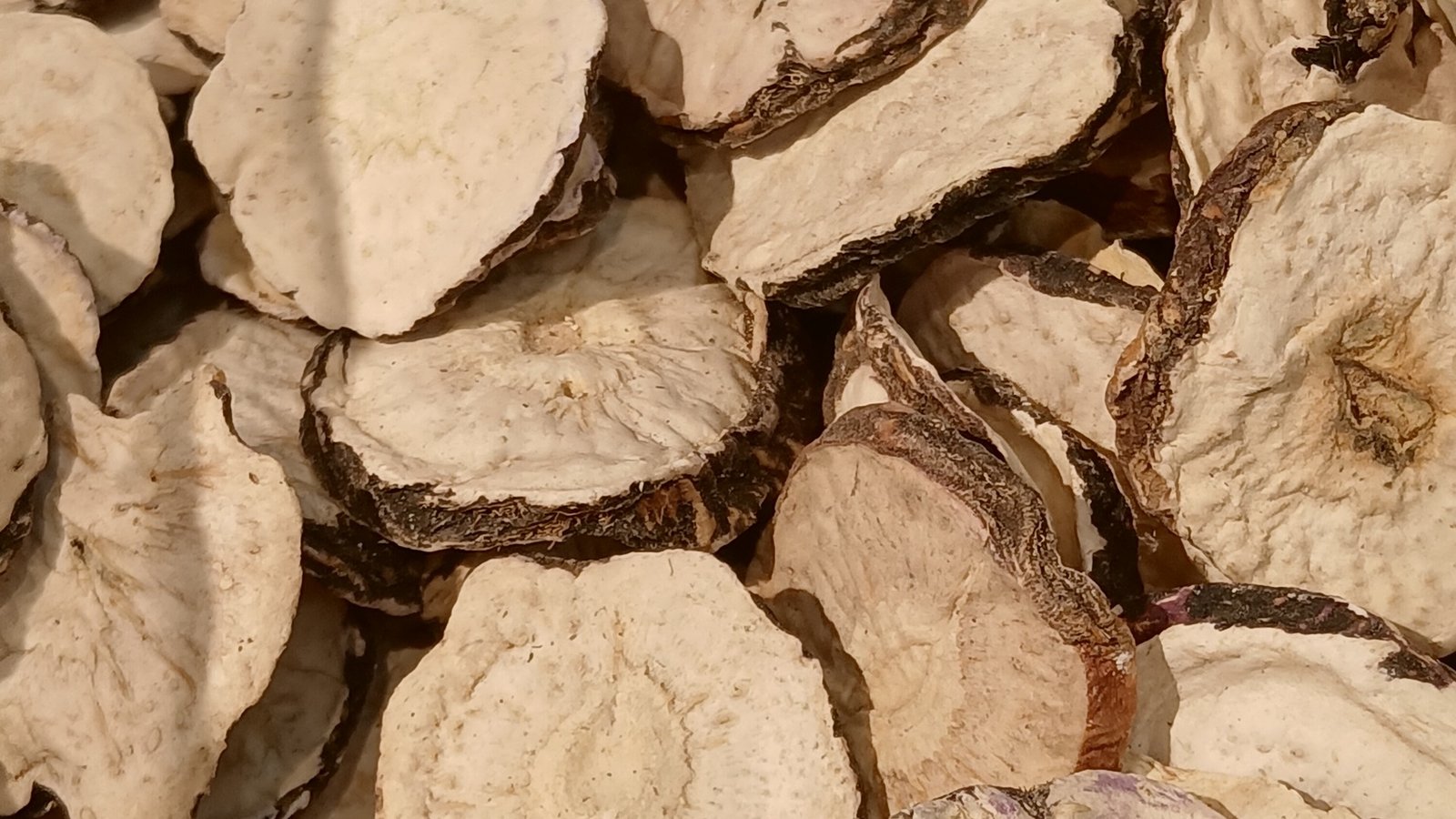 Hirisan akar herba Maca asli kering dari Peru yang kaya dengan macamides dan zat galian penting